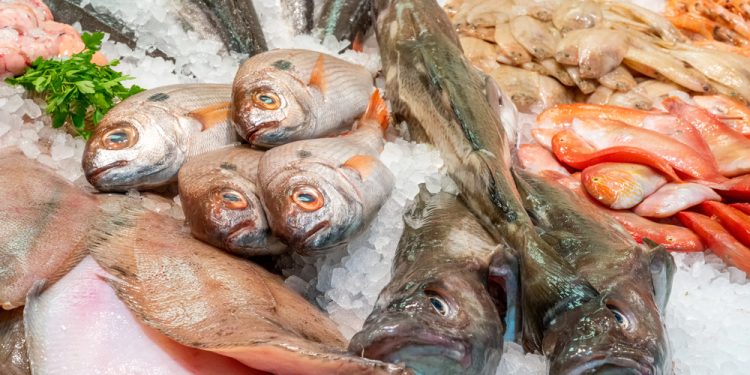 Sfide e opportunità nel nuovo Monthly Highlights di EUMOFA