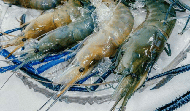 Gamberi svizzeri: l'acquacoltura d'alta quota che sfida oceani e pregiudizi