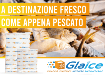 Ghiaccio intelligente, pesce più fresco: la tecnologia Glaice conquista il settore ittico