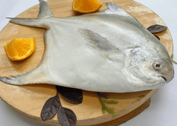 Il pompano è il pesce ideale per l'acquacoltura australiana