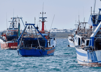 La transizione inevitabile. Dall'agonia della pesca al dominio dell'acquacoltura
