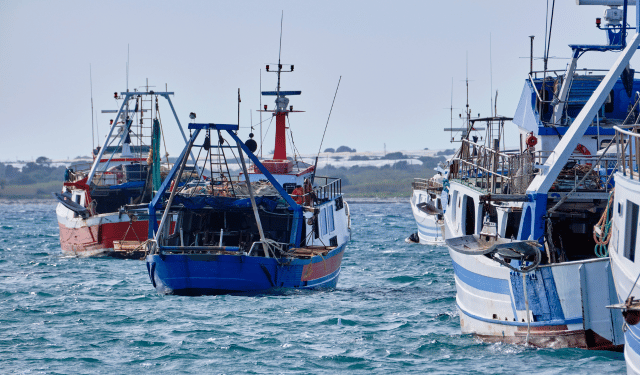 La transizione inevitabile. Dall'agonia della pesca al dominio dell'acquacoltura