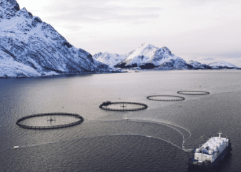 L'imposta aggiuntiva del Norwegian Norm Price Council mina l'acquacoltura sostenibile
