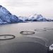 L'imposta aggiuntiva del Norwegian Norm Price Council mina l'acquacoltura sostenibile