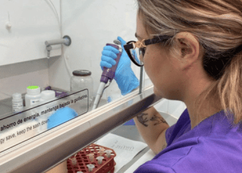 Microbolle e cannabidiolo migliorano la crescita del branzino