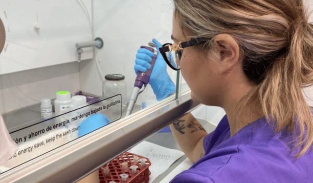 Microbolle e cannabidiolo migliorano la crescita del branzino