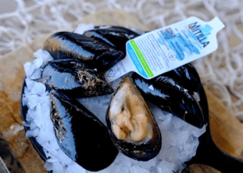 Mitilla® arriva nei ristoranti e nelle pescherie delle migliori GDO