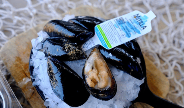 Mitilla® arriva nei ristoranti e nelle pescherie delle migliori GDO
