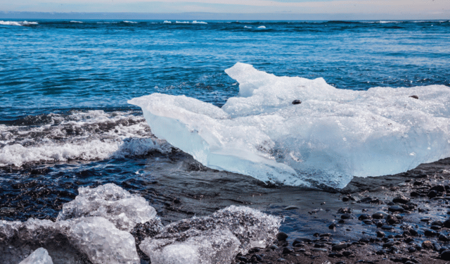 La Russia abbandona l'ICES: quali conseguenze per la pesca internazionale?​