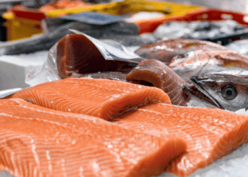 Salmone selvatico o allevato? Il DNA svela la verità sull'etichettatura