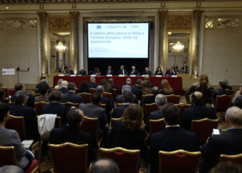 Sindacati ad incontro con Kadis a Roma