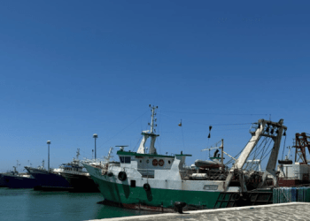 Tiozzo: "Nuovo sistema per calcolo sforzo pesca accoglie nostre richieste per fermo più sostenibile"