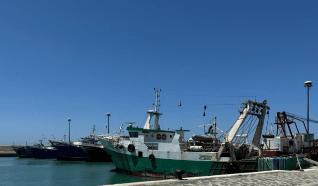 Tiozzo: "Nuovo sistema per calcolo sforzo pesca accoglie nostre richieste per fermo più sostenibile"