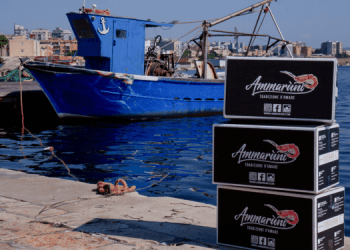 Ueno: eccellenza ittica dal cuore siciliano alla distribuzione internazionale