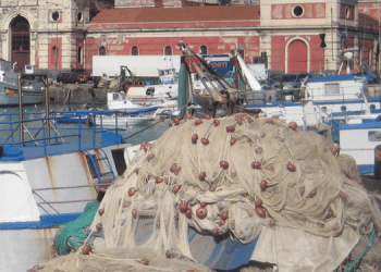 Unci AgroAlimentare, Scognamiglio: fermo pesca, con decreto importanti novità per settore