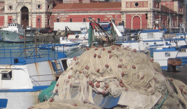 Unci AgroAlimentare, Scognamiglio: fermo pesca, con decreto importanti novità per settore