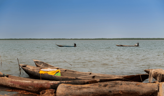 Via libera all'accordo di pesca con la Guinea-Bissau