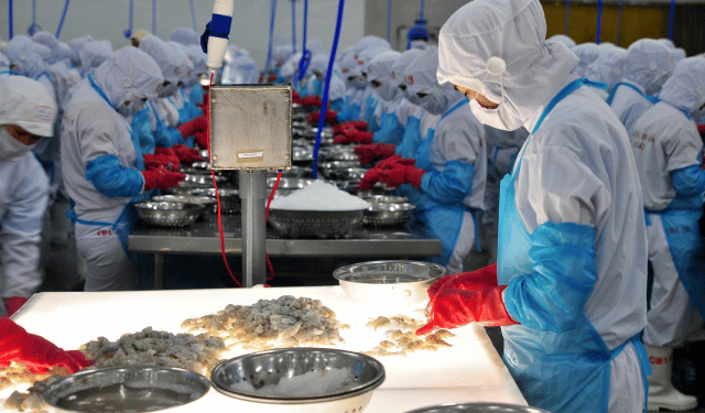 Allarme arsenico: l’Europa alza i muri, il Vietnam corre ai ripari per salvare il suo pesce