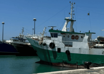 Canale di Sicilia, risorse ittiche al minimo: marinerie in stato di crisi