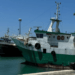 Canale di Sicilia, risorse ittiche al minimo: marinerie in stato di crisi