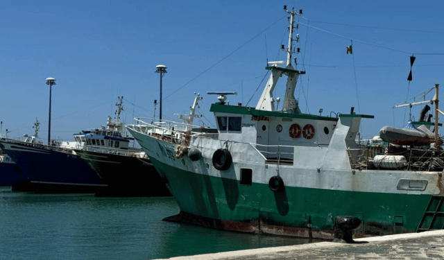 Canale di Sicilia, risorse ittiche al minimo: marinerie in stato di crisi