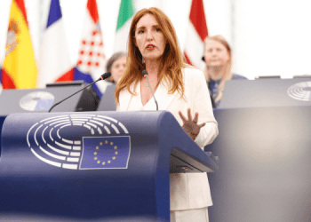 Donazzan: "L'UE difenda la pesca italiana"