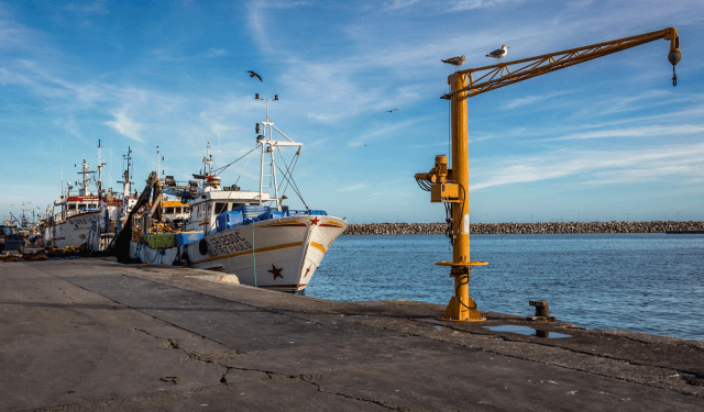 Il futuro della pesca al centro dell'incontro tra Europêche e gli Stati membri