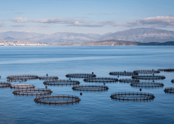Il futuro dell’acquacoltura passa dalla salute e e dal benessere animale