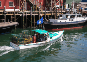 Il futuro delle attività di pesca iconiche tra deregulation e sostenibilità