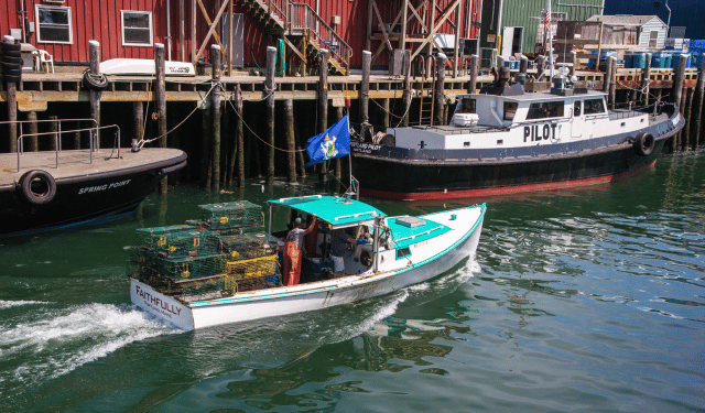 Il futuro delle attività di pesca iconiche tra deregulation e sostenibilità