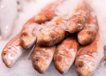 Safe2Eat 2025: l’Italia protagonista nella sicurezza alimentare europea