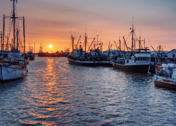 Sussidi, gestione e cambiamento climatico: la pesca mondiale secondo l'OCSE