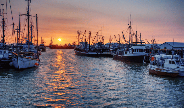 Sussidi, gestione e cambiamento climatico: la pesca mondiale secondo l'OCSE