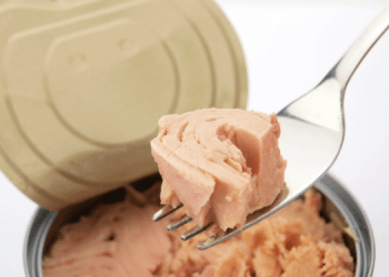 Tonno in scatola: un successo globale