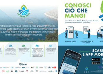 e-Fish: innovazione e sostenibilità nella pesca e acquacoltura guidata dai progetti di Ricerca e Innovazione