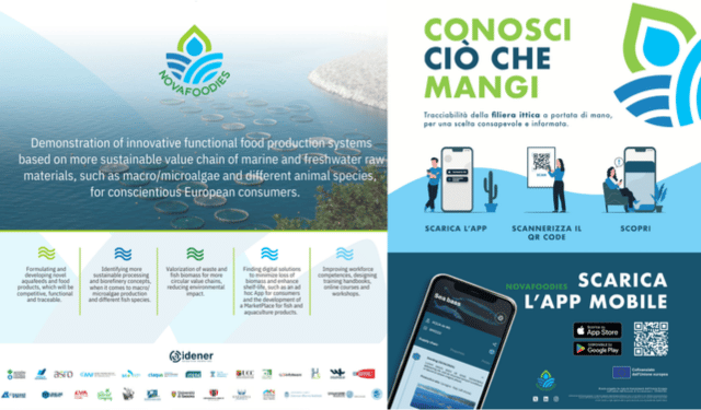 e-Fish: innovazione e sostenibilità nella pesca e acquacoltura guidata dai progetti di Ricerca e Innovazione