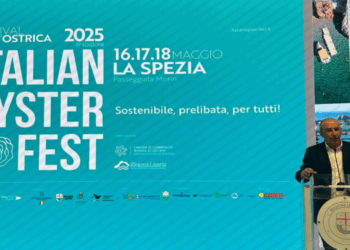 Ostriche fresche esposte all’Italian Oyster Fest a La Spezia 2025