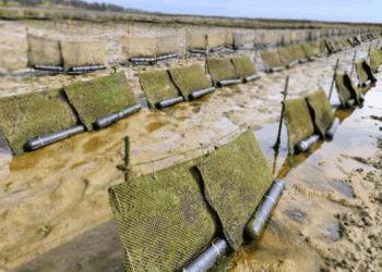 Excelencias Naturales e il valore strategico dell’esclusività