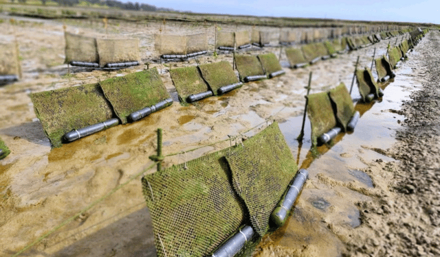 Excelencias Naturales e il valore strategico dell’esclusività