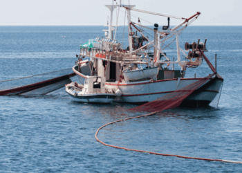 La spinta dell’economia blu: innovazione, fondi e sinergie per il settore ittico