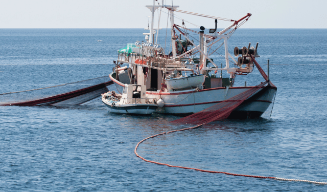 La spinta dell’economia blu: innovazione, fondi e sinergie per il settore ittico