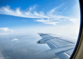 sovrapposizione fiere ittiche