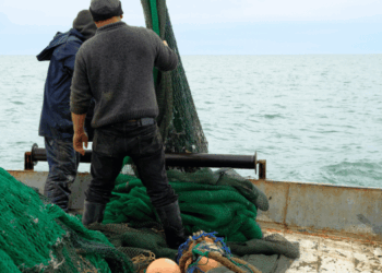 Nuovo Patto per gli Oceani Cisint pesca europea