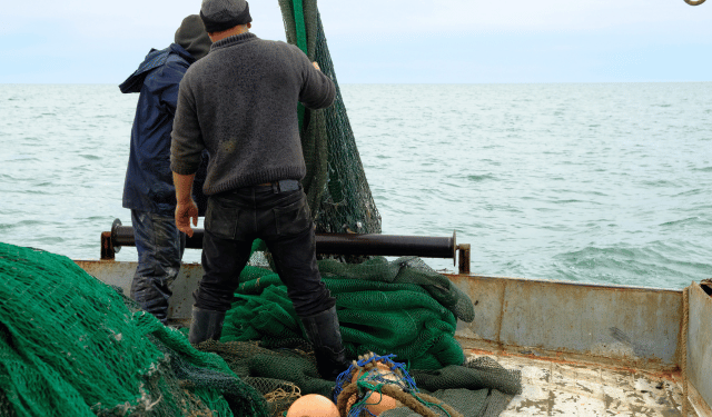 Nuovo Patto per gli Oceani Cisint pesca europea