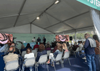 Piana: 600mila euro per sostenibilità pesca e acquacoltura