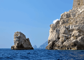 Verso una nuova era blu: come l'acquacoltura estensiva può rigenerare il mare e l'economia costiera