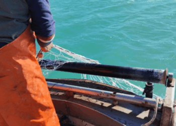 attrezzi da pesca biodegradabili