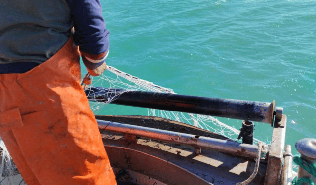 attrezzi da pesca biodegradabili