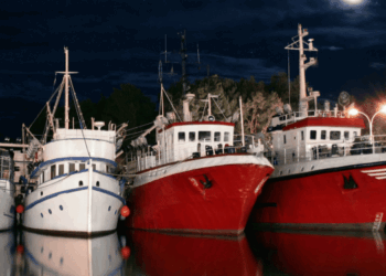 deroga al margine di tolleranza per la pesca pelagica