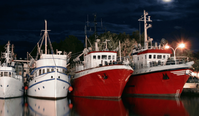 deroga al margine di tolleranza per la pesca pelagica
